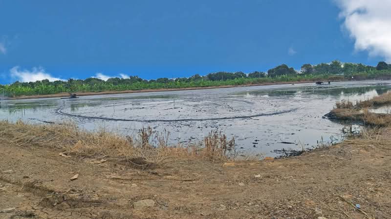 ที่ดินลาดกระบัง กรุงเทพมหานคร, Bangkok, Thab Yao, Lat Krabang, Bangkok, , 16,824 sqm, Land For Sale, by The Best Property นิ, 500211144 - DDproperty.com