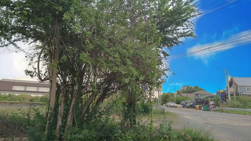 ที่ดินลาดกระบัง กรุงเทพมหานคร, Bangkok, Thab Yao, Lat Krabang, Bangkok, , 16,824 sqm, Land For Sale, by The Best Property นิ, 500211144 - DDproperty.com