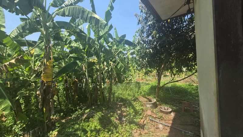 For Sale - บ้านเดี่ยวอัมพวา สมุทรสงคราม, Samut Songkhram