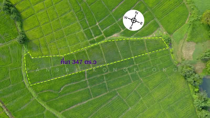 สันกำแพง, เชียงใหม่, ออนใต้, สันกำแพง, เชียงใหม่, 1,388 ตร.ม., ที่ดิน ขาย, โดย Pansak Kongklong, 500211167 - DDproperty.com