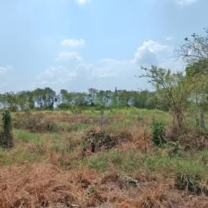 ขาย - ที่ดินคลองหลวง ปทุมธานี, ปทุมธานี