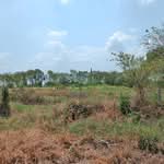 ที่ดินคลองหลวง ปทุมธานี, ปทุมธานี