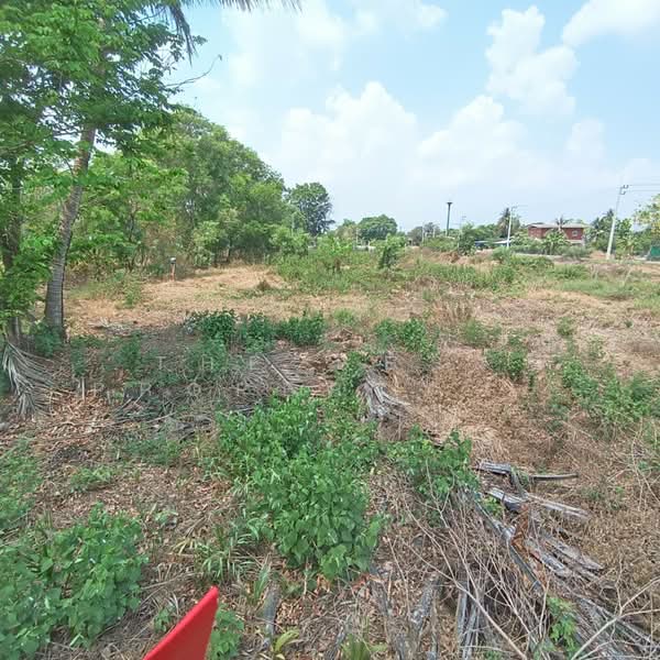 ที่ดินคลองหลวง ปทุมธานี, Pathum Thani, Khlong Hok, Khlong Luang, Pathum Thani, , 540 sqm, Land For Sale, by The Best Property เอิร์ท, 500211177 - DDproperty.com