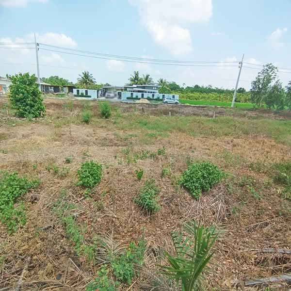 ที่ดินคลองหลวง ปทุมธานี, Pathum Thani, Khlong Hok, Khlong Luang, Pathum Thani, , 540 sqm, Land For Sale, by The Best Property เอิร์ท, 500211177 - DDproperty.com