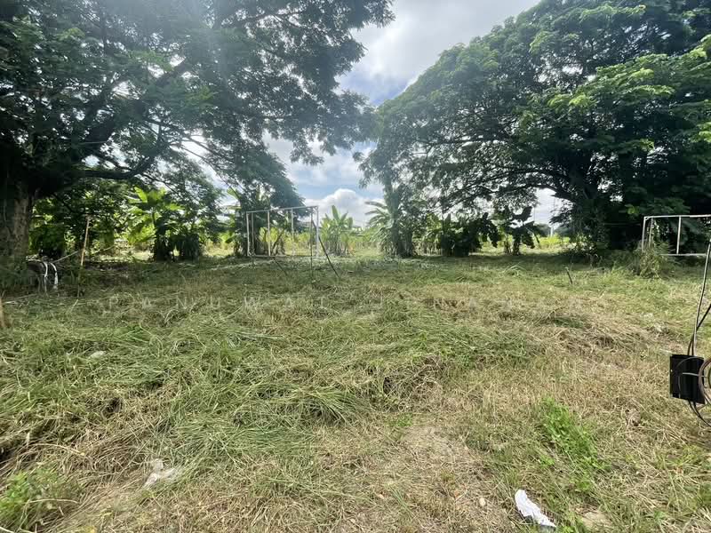 ไม่พบโครงการ, Chiang Mai, -, Fa Ham, Muang Chiang Mai, Chiang Mai, , 14,016 sqm, Land For Sale, by Panuwat Jinanan, 500211184 - DDproperty.com