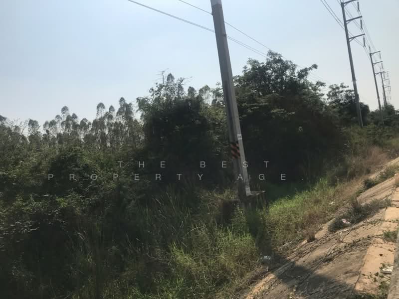 ที่ดินบ้านโพธิ์ ฉะเชิงเทรา, Chachoengsao, Laem Pradu, Ban Pho, Chachoengsao, , 1,800 sqm, Land For Sale, by The Best Property Agent ออฟ, 500211186 - DDproperty.com