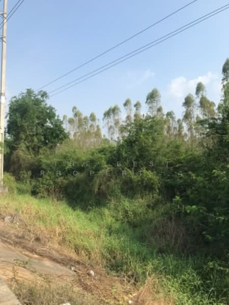 ที่ดินบ้านโพธิ์ ฉะเชิงเทรา, Chachoengsao, Laem Pradu, Ban Pho, Chachoengsao, , 1,800 sqm, Land For Sale, by The Best Property Agent ออฟ, 500211186 - DDproperty.com