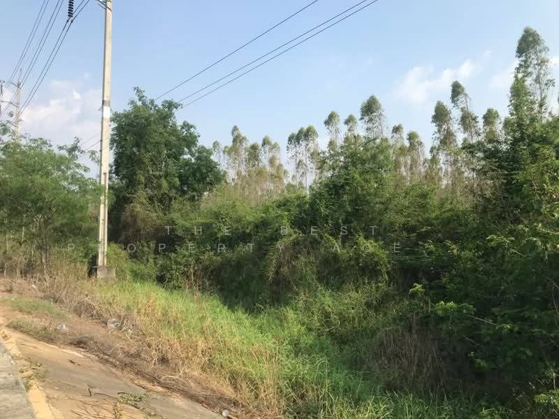 ที่ดินบ้านโพธิ์ ฉะเชิงเทรา, Chachoengsao, Laem Pradu, Ban Pho, Chachoengsao, , 1,800 sqm, Land For Sale, by The Best Property Agent ออฟ, 500211186 - DDproperty.com