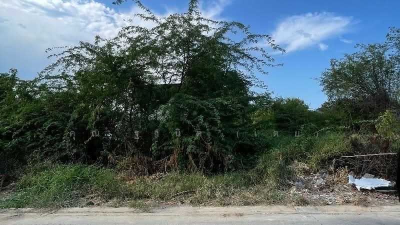 ที่ดินเปล่า 1 งาน 52 ตารางวา ซอยชลประทาน 40 (ซอยดี-มีโชค) หัวหิน แปลงริม ทำเลดี, ประจวบคีรีขันธ์, เพชรเกษม, หัวหิน, หัวหิน, ประจวบคีรีขันธ์, 608 ตร.ม., ที่ดิน ขาย, โดย คุณ ฐานิต (เตย), 500211197 - DDproperty.com