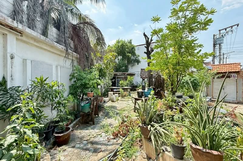 หมู่บ้าน มิตรอนันท์, กรุงเทพ, รามอินทรา, ท่าแร้ง, บางเขน, กรุงเทพ, 500 ตร.ม., บ้านเดี่ยว ขาย, โดย สง่าชัย ไทรทองคำ, 500211256 - DDproperty.com