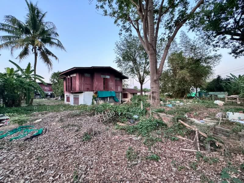 ขาย - ที่ดินในเมือง พิษณุโลก, พิษณุโลก