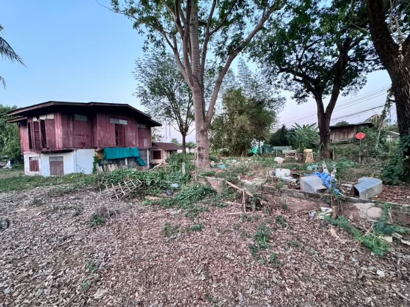 ขาย - ที่ดินในเมือง พิษณุโลก, พิษณุโลก