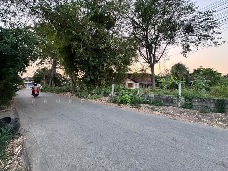 ที่ดินในเมือง พิษณุโลก, Phitsanulok, Nai Muang, Muang Phitsanulok, Phitsanulok, , 1,492 sqm, Land For Sale, by The Best Property ไอติม, 500211277 - DDproperty.com