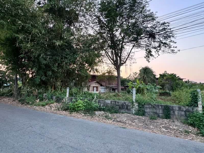ที่ดินในเมือง พิษณุโลก, Phitsanulok, Nai Muang, Muang Phitsanulok, Phitsanulok, , 1,492 sqm, Land For Sale, by The Best Property ไอติม, 500211277 - DDproperty.com