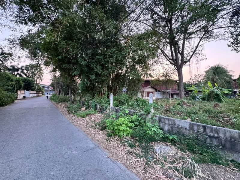 ที่ดินในเมือง พิษณุโลก, Phitsanulok, Nai Muang, Muang Phitsanulok, Phitsanulok, , 1,492 sqm, Land For Sale, by The Best Property ไอติม, 500211277 - DDproperty.com