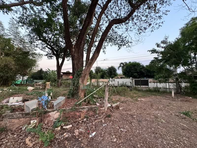 ที่ดินในเมือง พิษณุโลก, Phitsanulok, Nai Muang, Muang Phitsanulok, Phitsanulok, , 1,492 sqm, Land For Sale, by The Best Property ไอติม, 500211277 - DDproperty.com