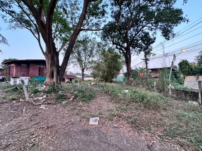 ขาย - ที่ดินในเมือง พิษณุโลก, พิษณุโลก