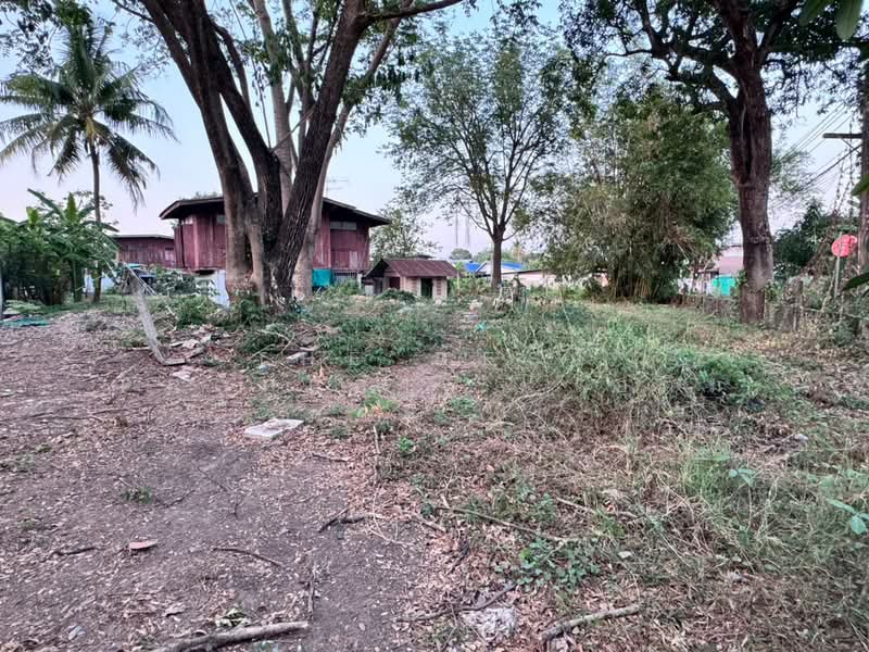 ขาย - ที่ดินในเมือง พิษณุโลก, พิษณุโลก