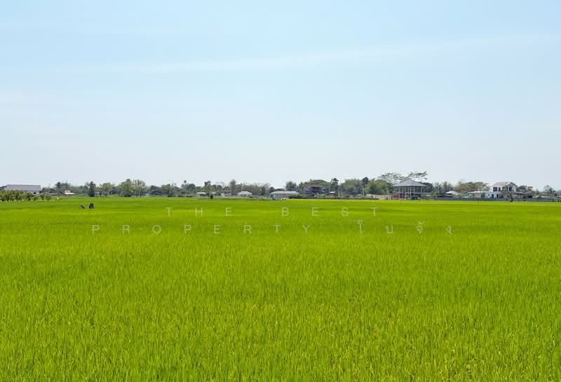 For Sale - ที่ดินดอยสะเก็ด เชียงใหม่, Chiang Mai