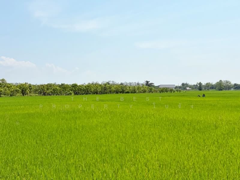 For Sale - ที่ดินดอยสะเก็ด เชียงใหม่, Chiang Mai