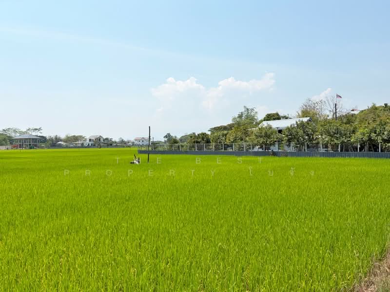 For Sale - ที่ดินดอยสะเก็ด เชียงใหม่, Chiang Mai