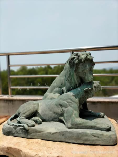 ขายบ้านริมทะเลบางแสน ชลบุรี โครงการเมืองใหม่มารีน่า พูลวิลล่า 4 ชั้น วิวทะเล, ชลบุรี, เสม็ด, เมืองชลบุรี, ชลบุรี, 1,070 ตร.ม., บ้านเดี่ยว ขาย, โดย Pronthip Wattanasatiengul, 500211326 - DDproperty.com