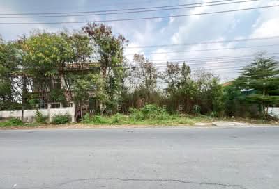 ขาย - ที่ดินบางใหญ่ นนทบุรี, นนทบุรี