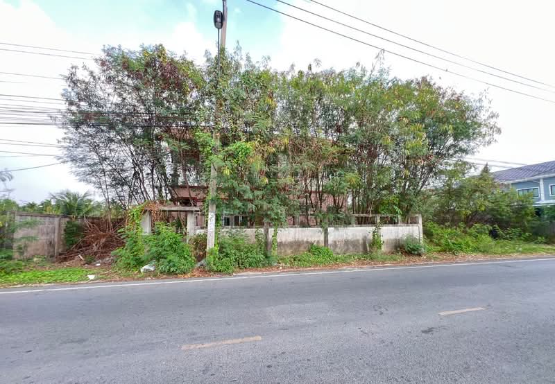 ที่ดินบางใหญ่ นนทบุรี, นนทบุรี, บางใหญ่, บางใหญ่, นนทบุรี, 7,340 ตร.ม., ที่ดิน ขาย, โดย The Best Property บี, 500211359 - DDproperty.com