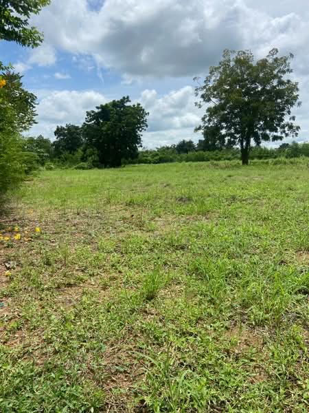 ขาย - ที่ดินบึงสามพัน เพชรบูรณ์, เพชรบูรณ์