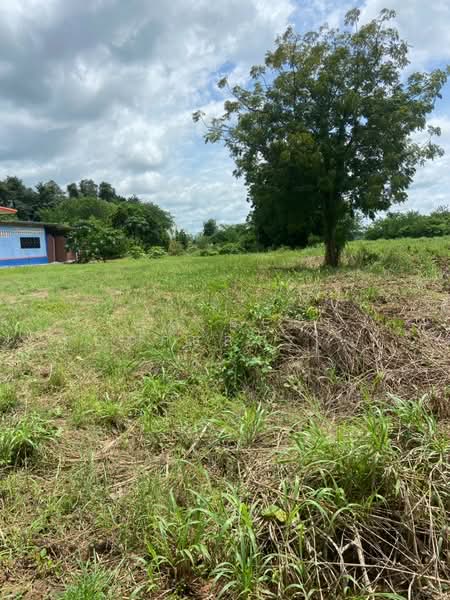 For Sale - ที่ดินบึงสามพัน เพชรบูรณ์, Phetchabun