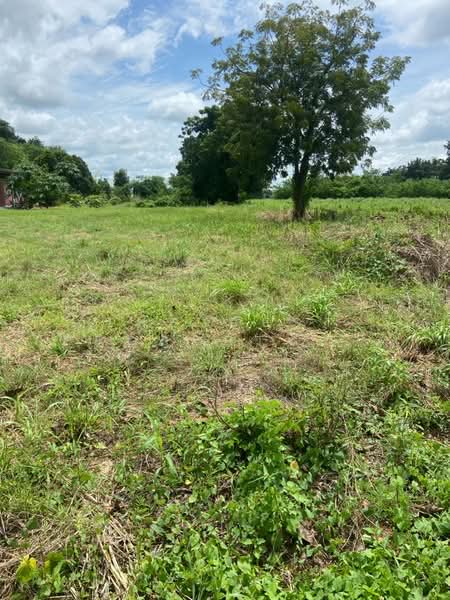 For Sale - ที่ดินบึงสามพัน เพชรบูรณ์, Phetchabun