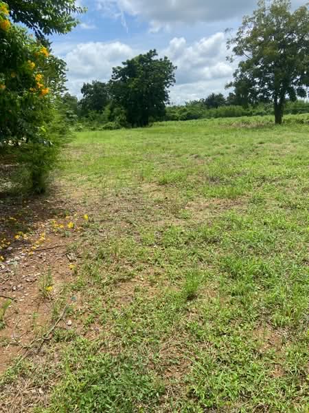 For Sale - ที่ดินบึงสามพัน เพชรบูรณ์, Phetchabun