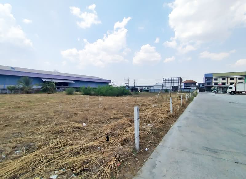 ที่ดินหนองรี ชลบุรี, Chon Buri (Pattaya), Nong Ri, Muang Chon Buri, Chon Buri (Pattaya), , 1,936 sqm, Land For Sale, by The Best Property ชุ, 500211376 - DDproperty.com