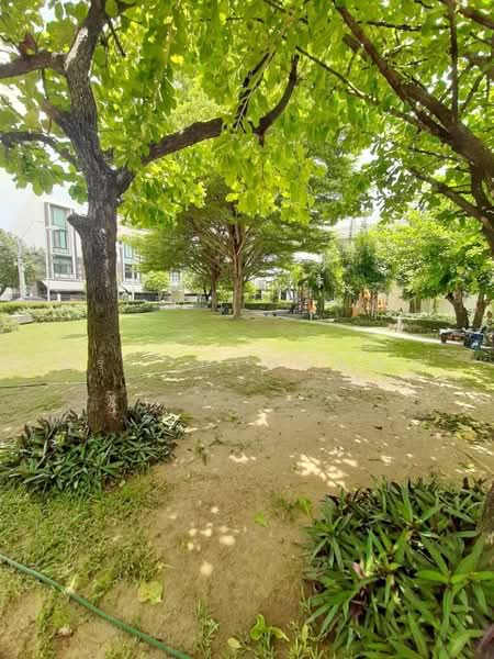 ให้เช่า - Flora Wongsawang : ฟลอรา วงศ์สว่าง, นนทบุรี