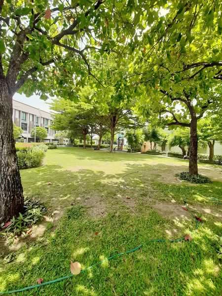 Flora Wongsawang, Nonthaburi, Krungthep-Nonthaburi Road, Bang Khen, Muang Nonthaburi, Nonthaburi, 3 Bedrooms, 207 sqm, Townhouse For Rent, by อรุณ อเนกคุณะ, 500211393 - DDproperty.com