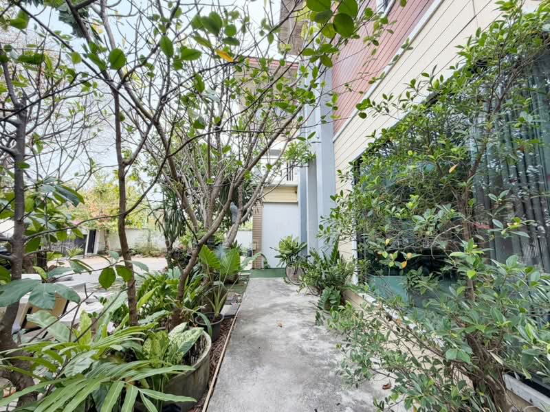 ชวนชื่น การ์เด้นวิลล์ ปทุมธานี (ChuanChuen Garden Ville), Pathum Thani, Bang Dua, Muang Pathum Thani, Pathum Thani, 4 Bedrooms, 320 sqm, Single Detached House For Sale, by The Best Property ต่าย, 500211420 - DDproperty.com