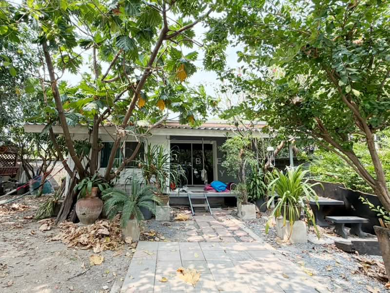 ชวนชื่น การ์เด้นวิลล์ ปทุมธานี (ChuanChuen Garden Ville), Pathum Thani, Bang Dua, Muang Pathum Thani, Pathum Thani, 4 Bedrooms, 320 sqm, Single Detached House For Sale, by The Best Property ต่าย, 500211420 - DDproperty.com