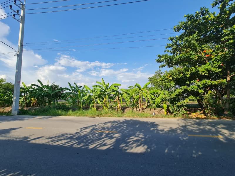 ที่ดิน, สมุทรสาคร, สวนหลวง, กระทุ่มแบน, สมุทรสาคร, 3,200 ตร.ม., ที่ดิน ขาย, โดย วิรัตนันท์ ลีมากุล, 500211443 - DDproperty.com