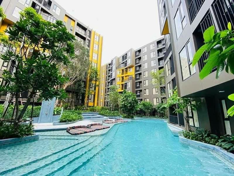 The Base Central, Phuket, Chao Fah Tawan Tok Rd, Wichit, Muang Phuket, Phuket, 1 Bedroom, 30 sqm, Condo For Rent, by Prime Global Asset, 500211501 - DDproperty.com