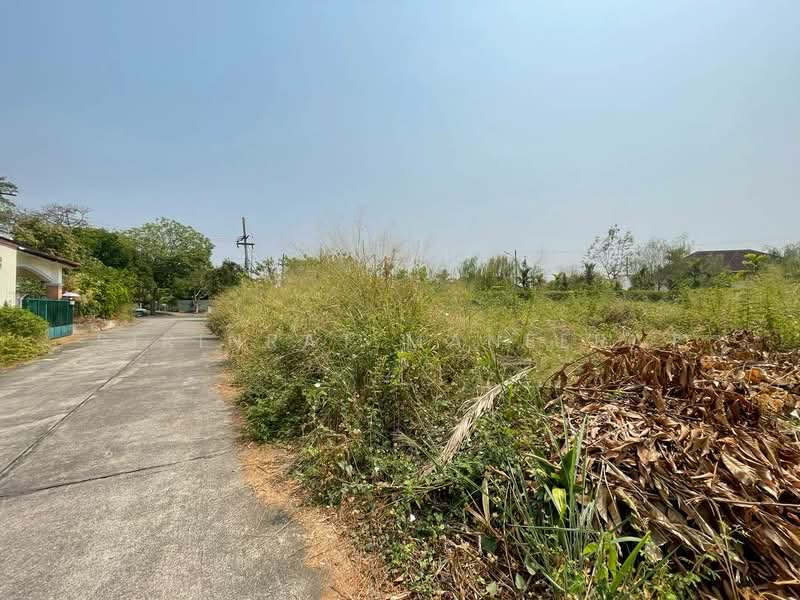 🔥 ขายด่วน! ที่ดินแปลงสวยที่สุด ติดถนน 3 ด้าน ทำเลทอง ใกล้มีโชคพลาซ่า เชียงใหม่ 🌿(สันทราย), เชียงใหม่, สันทรายน้อย, สันทราย, เชียงใหม่, 1,308 ตร.ม., ที่ดิน ขาย, โดย Sirinrat Maneerat, 500211507 - DDproperty.com