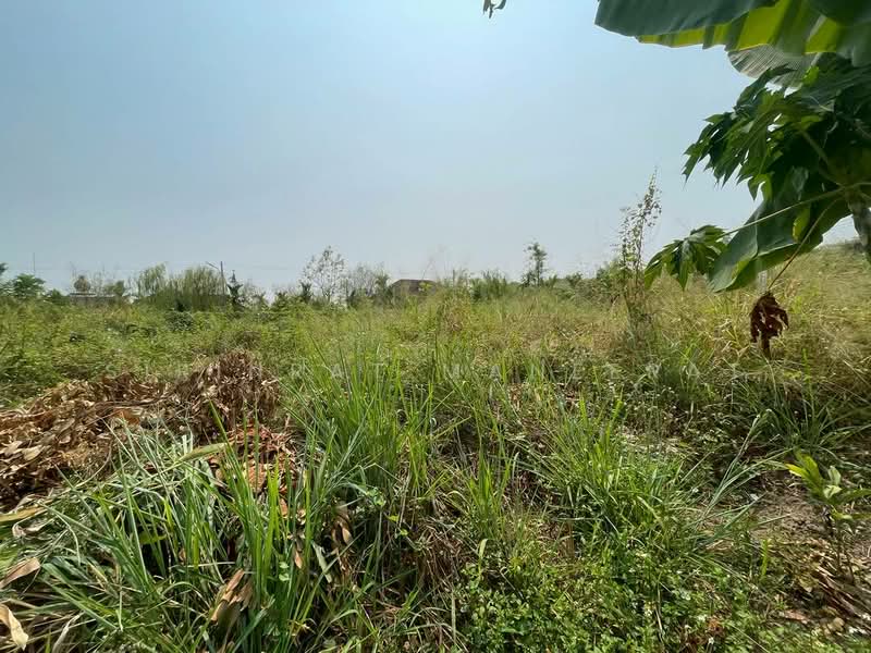 🔥 ขายด่วน! ที่ดินแปลงสวยที่สุด ติดถนน 3 ด้าน ทำเลทอง ใกล้มีโชคพลาซ่า เชียงใหม่ 🌿(สันทราย), Chiang Mai, San Sai Noi, San Sai, Chiang Mai, , 1,308 sqm, Land For Sale, by Sirinrat Maneerat, 500211507 - DDproperty.com