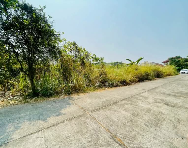 🔥 ขายด่วน! ที่ดินแปลงสวยที่สุด ติดถนน 3 ด้าน ทำเลทอง ใกล้มีโชคพลาซ่า เชียงใหม่ 🌿(สันทราย), Chiang Mai, San Sai Noi, San Sai, Chiang Mai, , 1,308 sqm, Land For Sale, by Sirinrat Maneerat, 500211507 - DDproperty.com