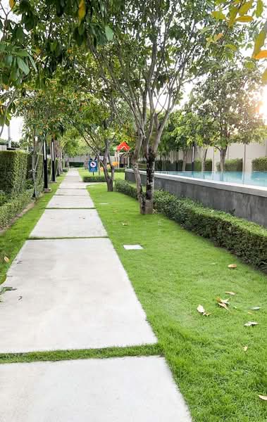 Q Prime Sukhumvit 77 : คิว ไพร์ม สุขุมวิท 77, กรุงเทพ, ซอย อ่อนนุช 46, สวนหลวง, สวนหลวง, กรุงเทพ, 180 ตร.ม., ทาวน์เฮ้าส์ ให้เช่า, โดย สมชาย ฤชาจิรกิจ, 500211560 - DDproperty.com