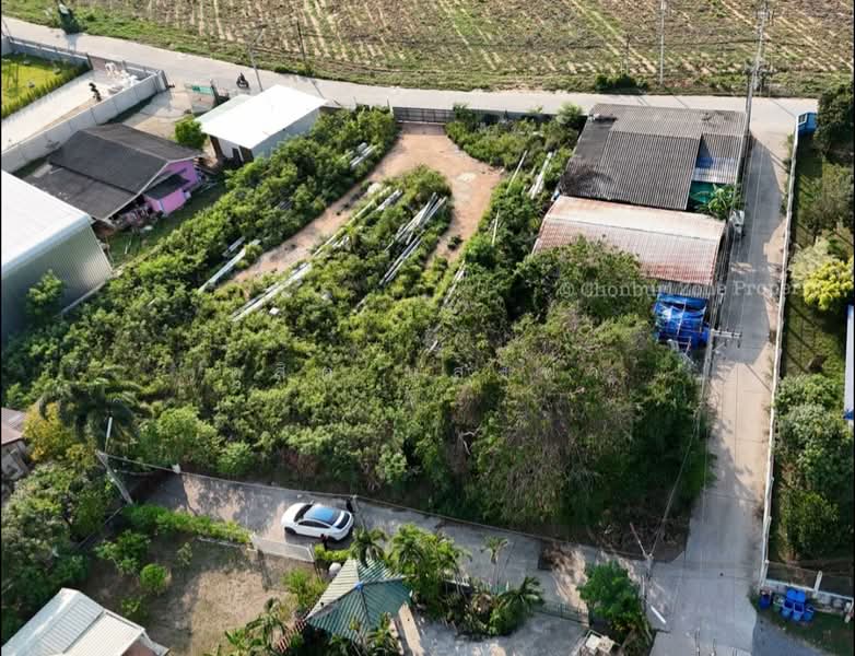 ขายที่ดินแปลงสวย ซ.หมอย้อย วัดบ่อหิน ใจกลางศรีราชา, Chon Buri (Pattaya), Surasak, Si Racha, Chon Buri (Pattaya), , 400 sqm, Land For Sale, by Dusit Saengfa, 500211609 - DDproperty.com