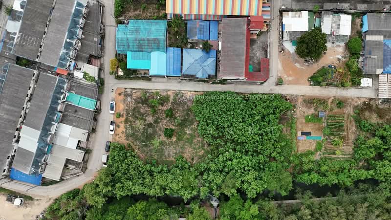 ขายที่ดินแปลงสวย 2 ไร่ เครือสหพัฒน์ ศรีราชา, ชลบุรี, บึง, ศรีราชา, ชลบุรี, 3,200 ตร.ม., ที่ดิน ขาย, โดย ดุสิต แสงฟ้า, 500211612 - DDproperty.com