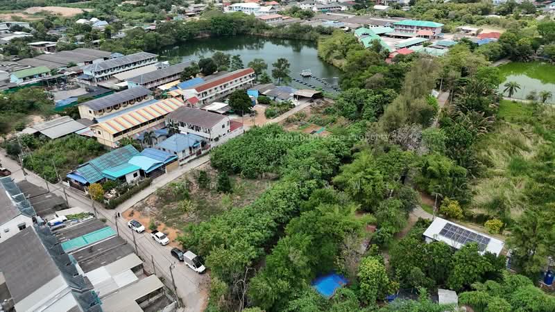 ขายที่ดินแปลงสวย 2 ไร่ เครือสหพัฒน์ ศรีราชา, Chon Buri (Pattaya), Bueng, Si Racha, Chon Buri (Pattaya), , 3,200 sqm, Land For Sale, by Dusit Saengfa, 500211612 - DDproperty.com