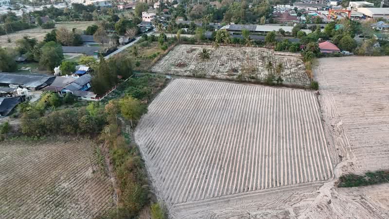 ขายที่ดิน 3 ไร่กว่า แบ่งขายได้ สวนเสือ ศรีราชา, ชลบุรี, สุรศักดิ์, ศรีราชา, ชลบุรี, 4,800 ตร.ม., ที่ดิน ขาย, โดย ดุสิต แสงฟ้า, 500211614 - DDproperty.com