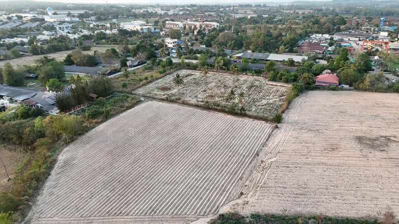 ขายที่ดิน 3 ไร่กว่า แบ่งขายได้ สวนเสือ ศรีราชา, ชลบุรี, สุรศักดิ์, ศรีราชา, ชลบุรี, 4,800 ตร.ม., ที่ดิน ขาย, โดย ดุสิต แสงฟ้า, 500211614 - DDproperty.com