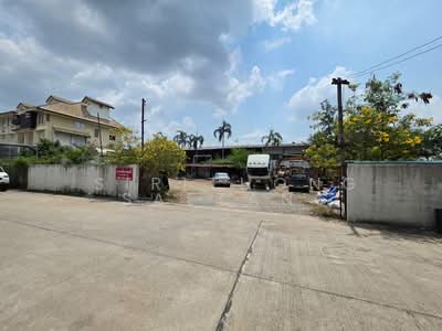 ขาย - (ยินดีแบ่งขาย) ที่ดินหน้ากว้าง 38 เมตร 244 ตารางวา ถนนสุขาภิบาล 5 (วัชรพล-สายไหม) เขตบางเขน, กรุงเทพ