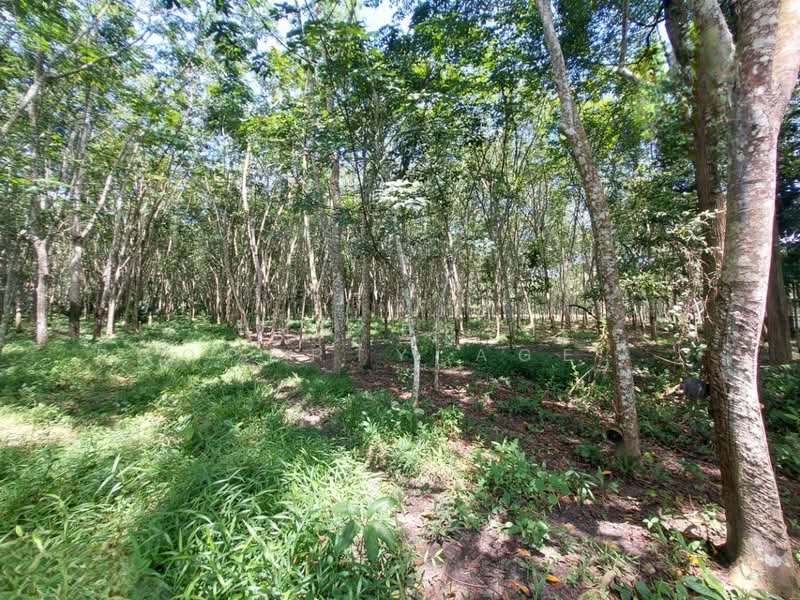 For Sale - บ้านเดี่ยวพร้อมสวนทุ่งสง นครศรีธรรมราช, Nakhon Si Thammarat